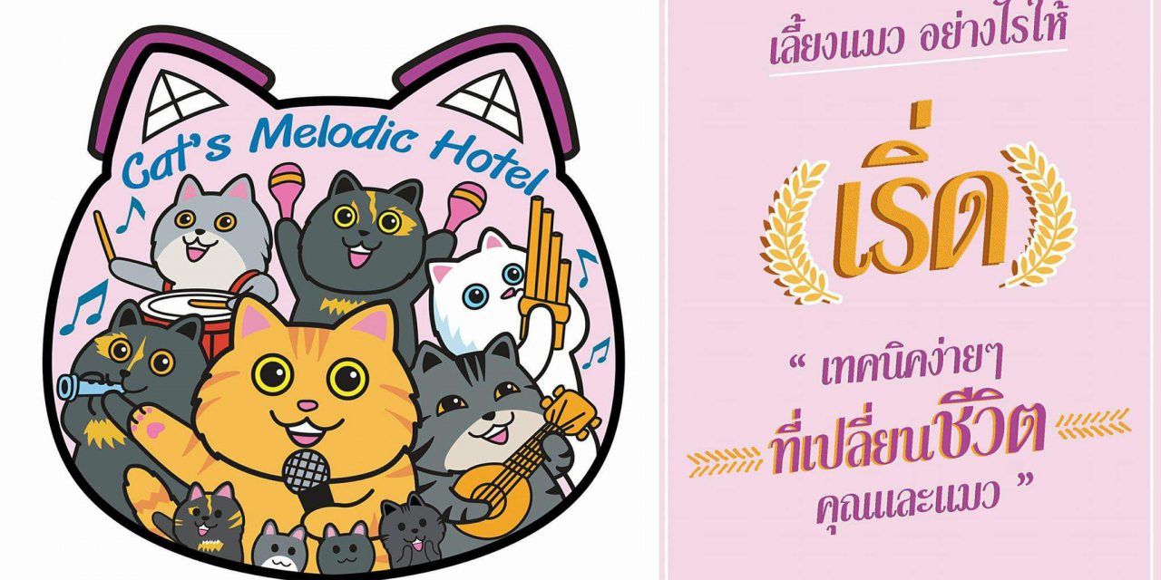 https://www.cathotelbangkok.com/wp-content/uploads/2018/01/Cats-melodic-hotel-2-1280x640.jpg