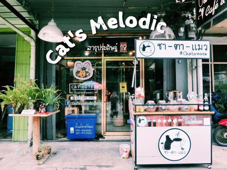 https://www.cathotelbangkok.com/wp-content/uploads/2019/10/Cats-melodic-hotel-8.jpg